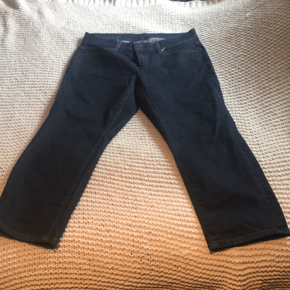 Ann taylor crops